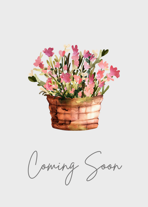 Coming Soon